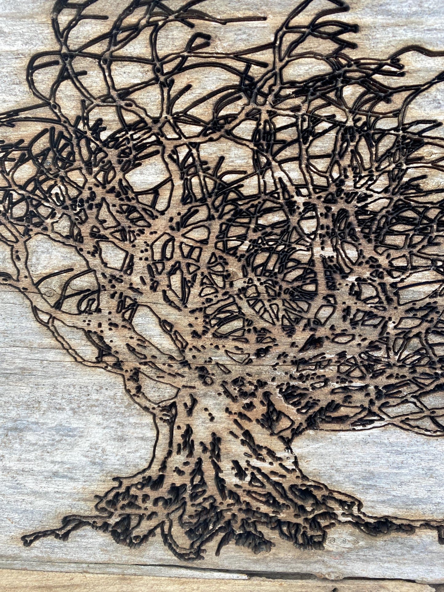 Wall Tree Art Burned Image on Reclaimed Redwood (stand not included) FREE SHIPPING