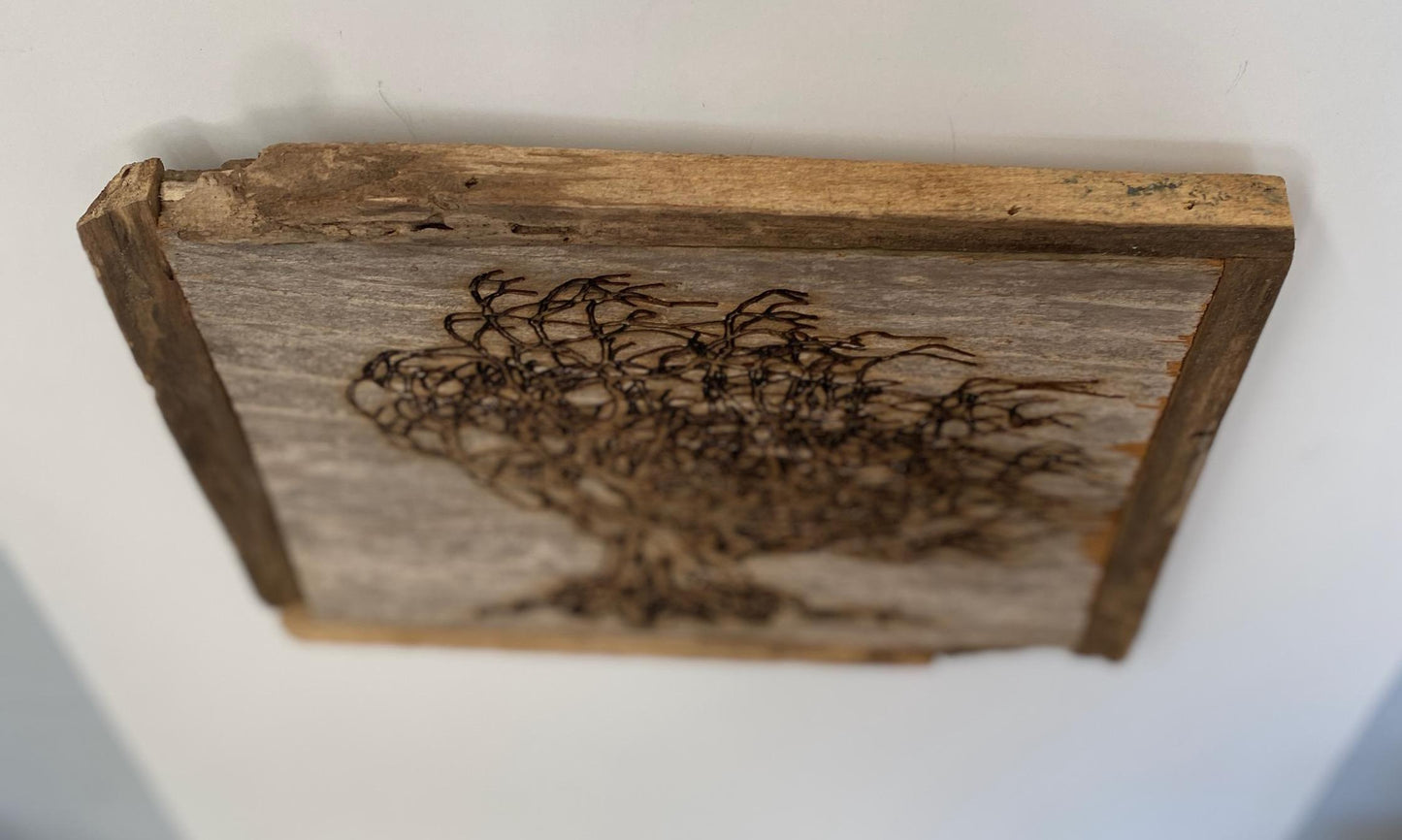 Wall Tree Art Burned Image on Reclaimed Redwood (stand not included) FREE SHIPPING
