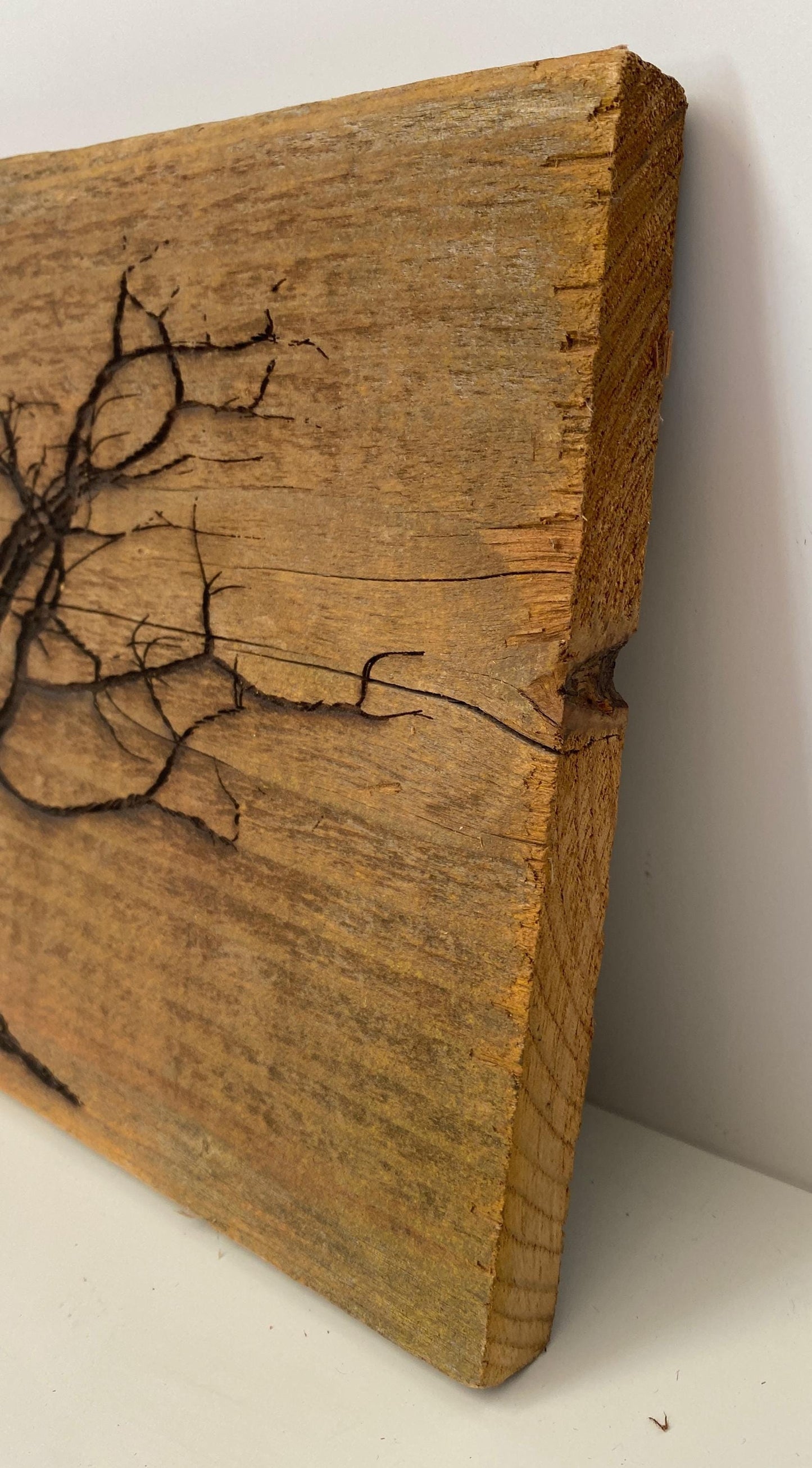 Wall Tree Art Burned Image on Reclaimed Redwood (stand not included) FREE SHIPPING