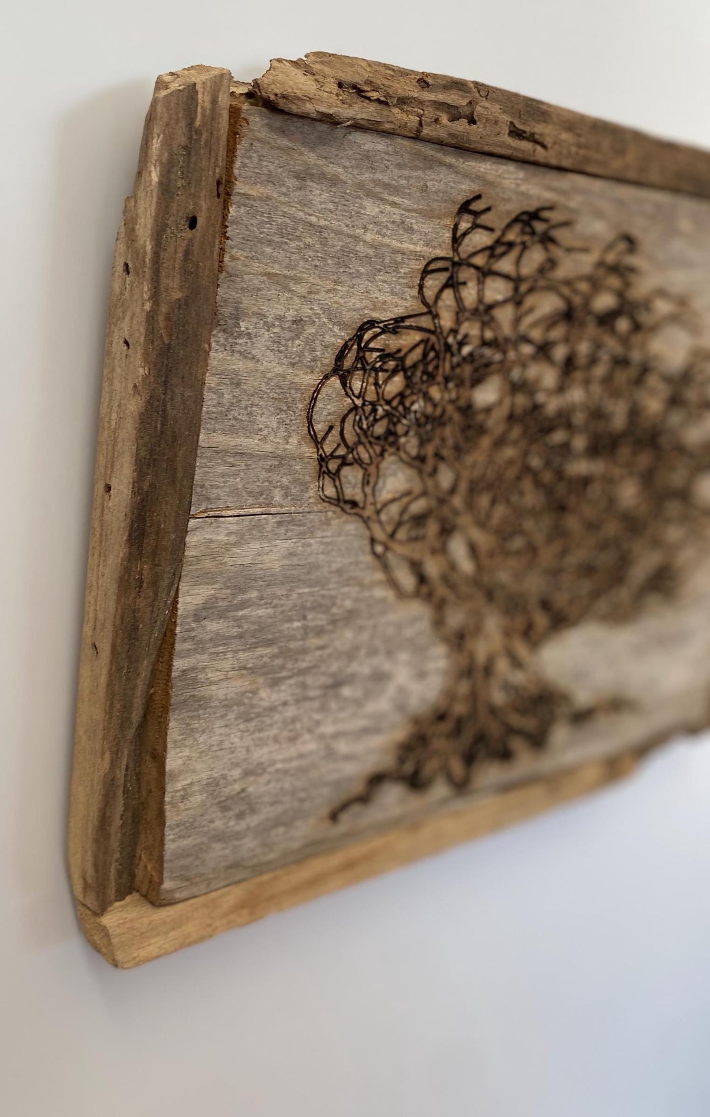 Wall Tree Art Burned Image on Reclaimed Redwood (stand not included) FREE SHIPPING