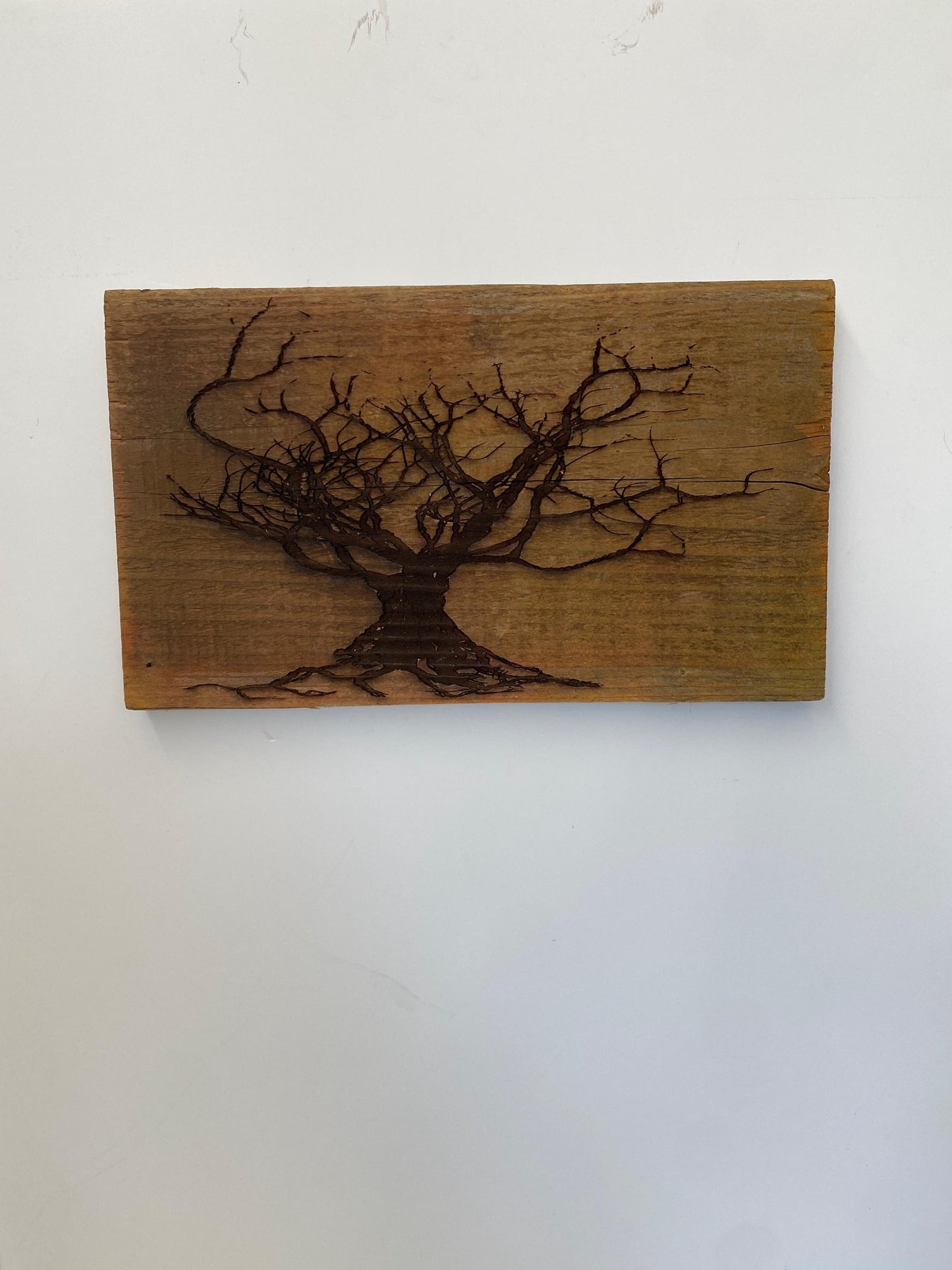 Wall Tree Art Burned Image on Reclaimed Redwood (stand not included) FREE SHIPPING