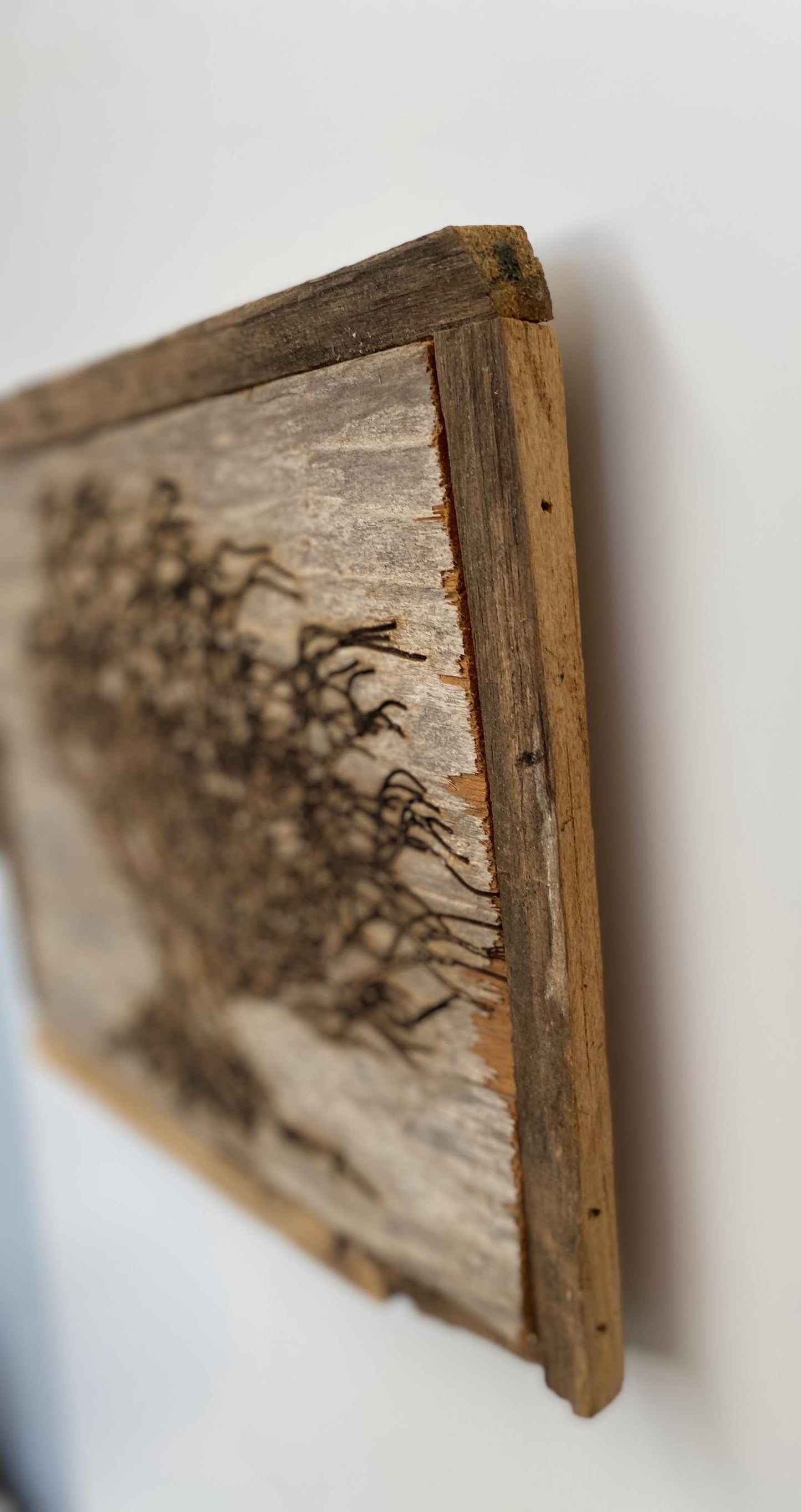 Wall Tree Art Burned Image on Reclaimed Redwood (stand not included) FREE SHIPPING