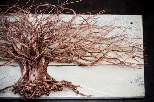Wired Roots by Jason Oliver (11 of 62)