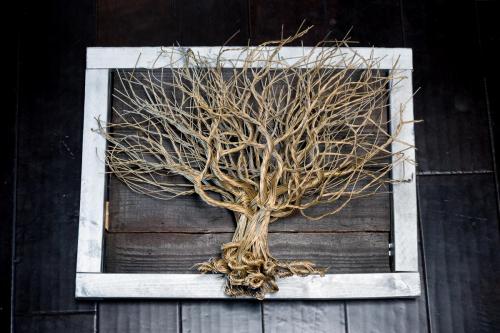 Wired Roots by Jason Oliver (2 of 62)