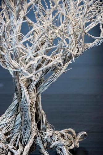 Wired Roots by Jason Oliver (43 of 62)